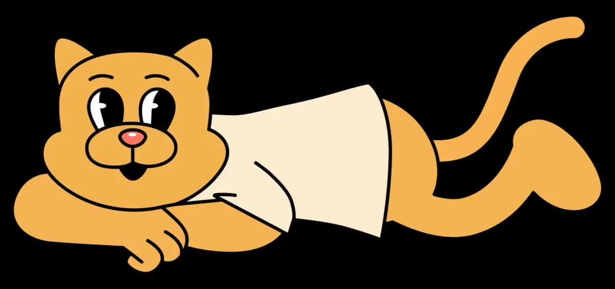 Mr. Cat