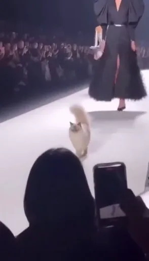 An AI-generated video of a fashion show where a cat walks down the runway ahead of a human model, captivating the audience.